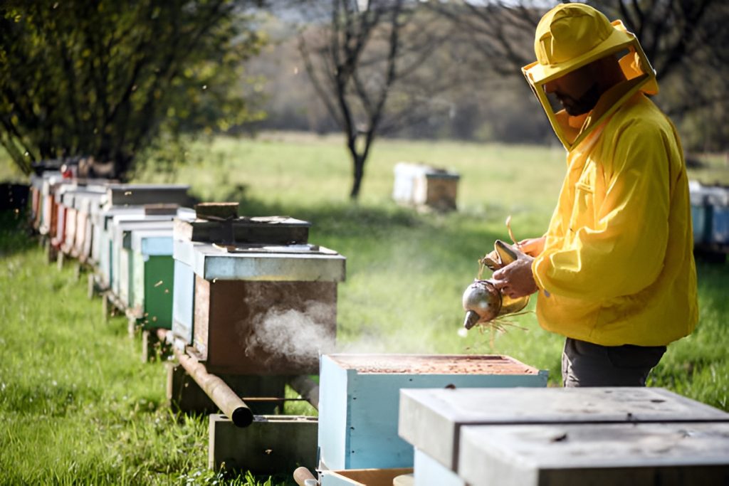 desi dokan honey farm pakistan