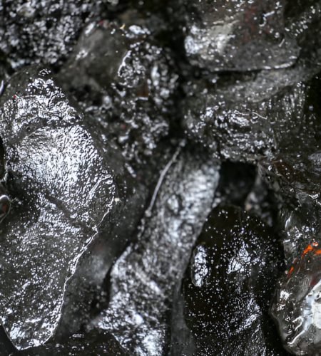 salajeet production pure natural desi dokan